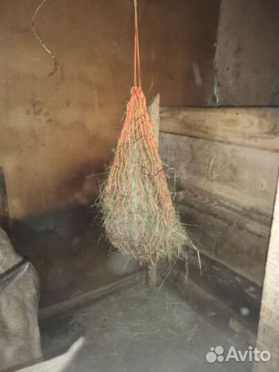 Рептуха медленная кормушка