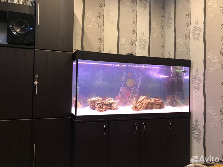 Аквариум 500 литров. Новый. Гарантия 5 лет
