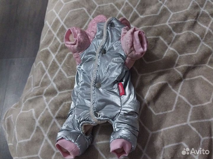 Комбинезон для маленькой собаки