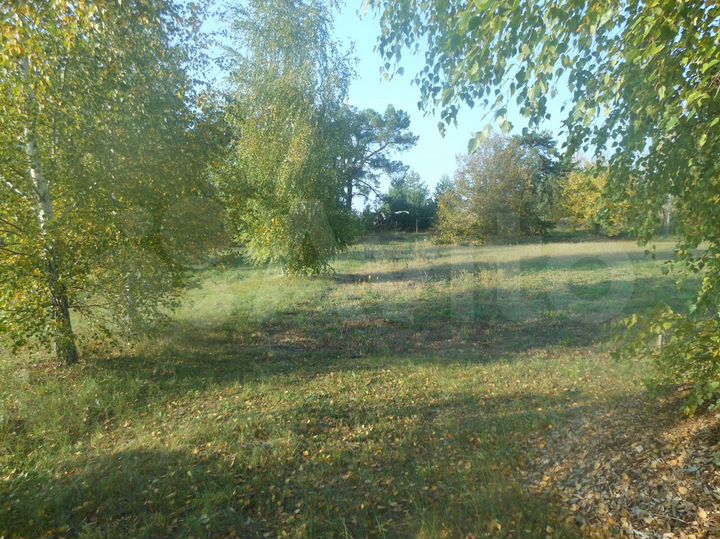 Участок 40 сот. (СНТ, ДНП)