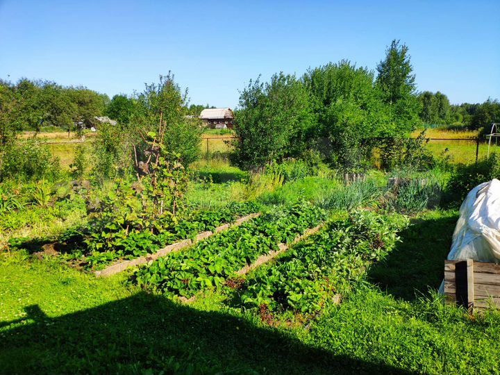 Дом 36,4 м² на участке 15 сот.