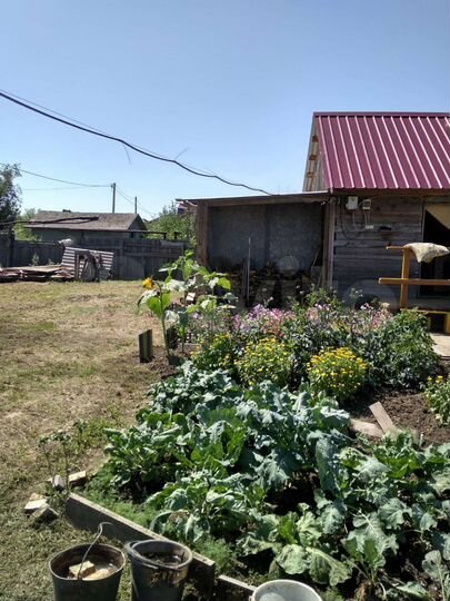 Дача 24 м² на участке 10 сот.