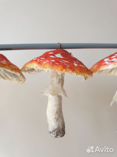 Елочные игрушки грибы из ваты