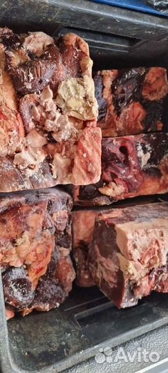 Корма для всех животных обрезь кости для собак