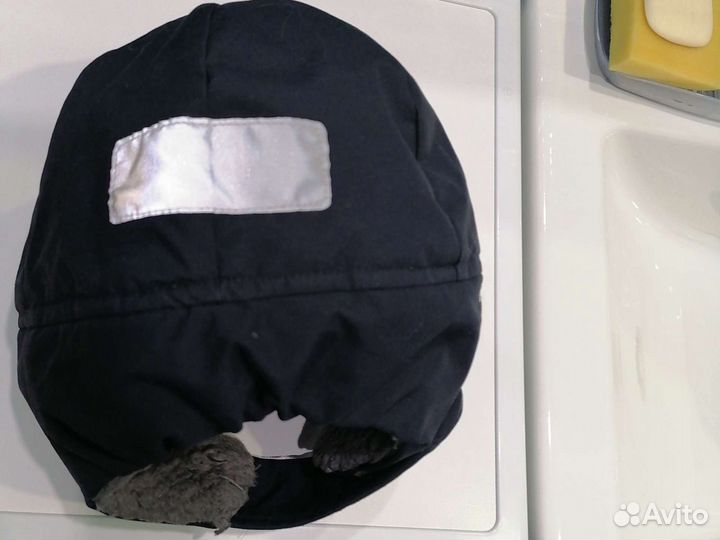 Шапка зимняя didriksons (Дидриксон) Финляндия