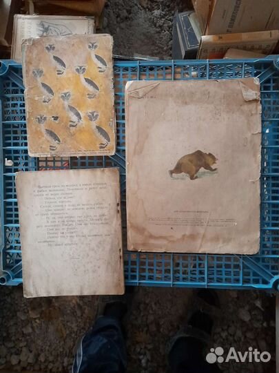 Коллекция детской литературы до 1937 года