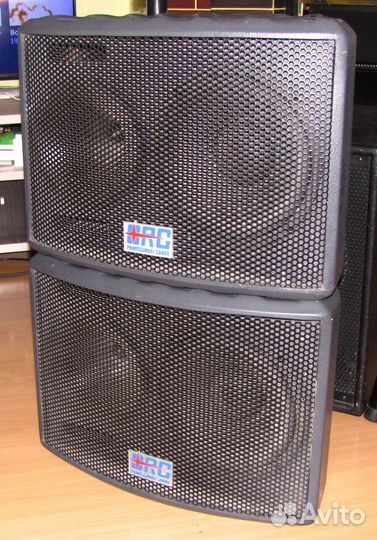 Колонки Orgacoustic 600-1200W 2шт Pro 10