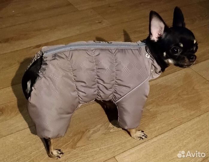 Зимний костюм для собак