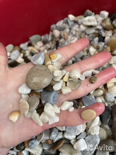 Грунт для аквариума