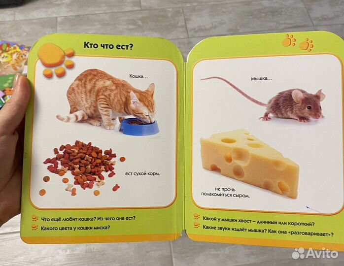 Развиваем малыша machaon