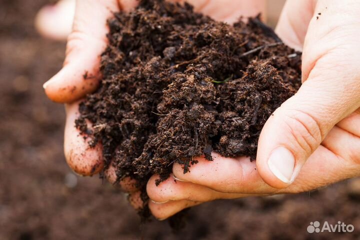 Торфогрунт