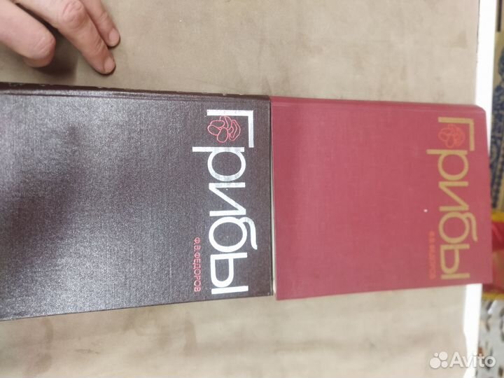 Книга грибы