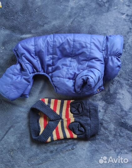 Вещи для маленьких собак