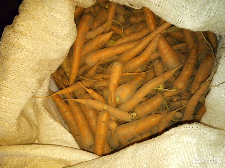 Продам, марковь и картишку