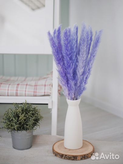 Пампасная трава, кортадерия, сухоцветы