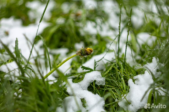 Объектив мс Гелиос 44-3