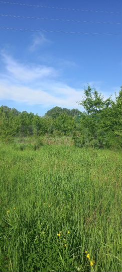 Участок 11 сот. (ИЖС)