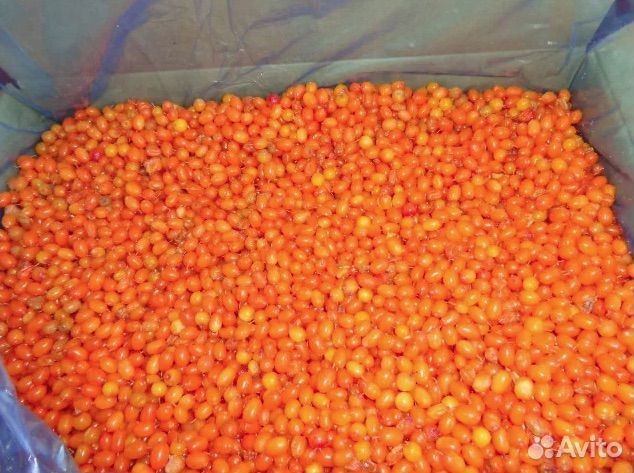 Облепиха замороженная