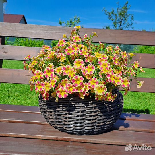 Кашпо для цветов