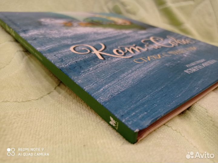 Кот И сова, Лир, илл. Ингпен