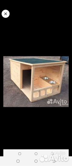 Будка и вольеры