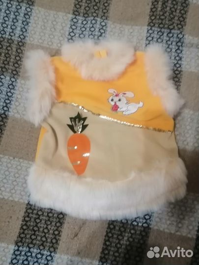 Зайка-попрыгайка