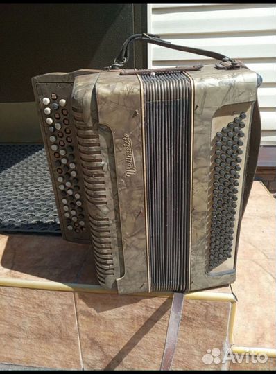 Баян weltmeister