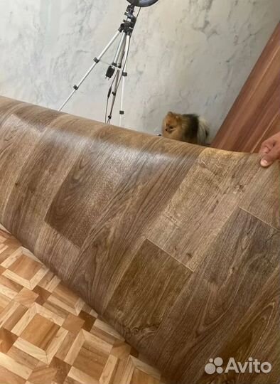 Линолеум Ригард 4 / От 1,5 до 4м Утепленный