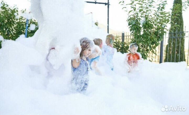 Аниматор на день рождения, шоу программы