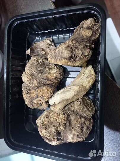 Ширш оргинал 100 процент