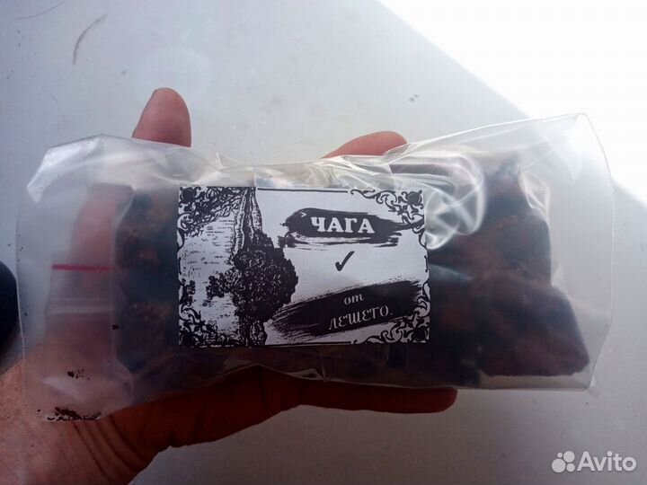 Березовый гриб чага