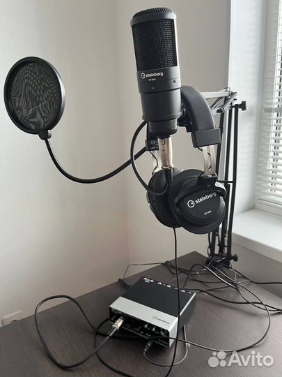 Steinberg ur22c полный набор для записи