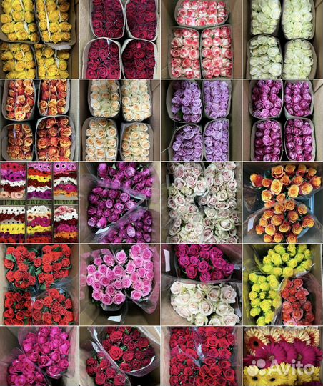 Цветы оптом для цветочных магазинов