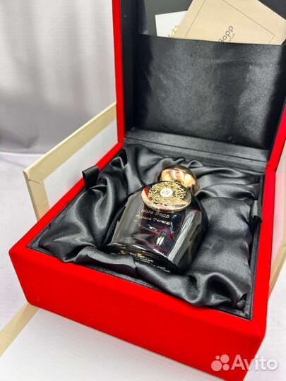 Tiziana terenzi hale bopp