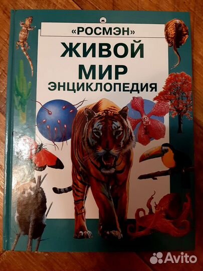 Детские энциклопедии