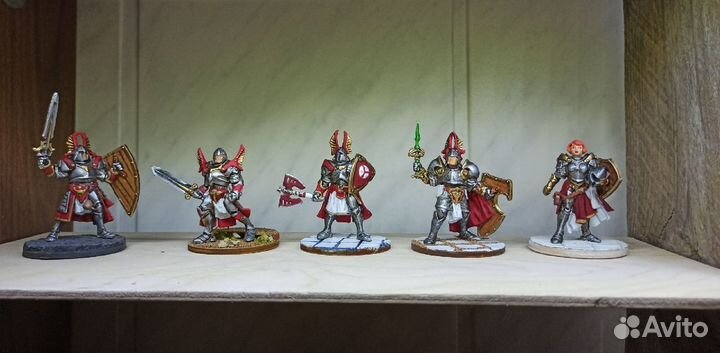 Технолог Паладины