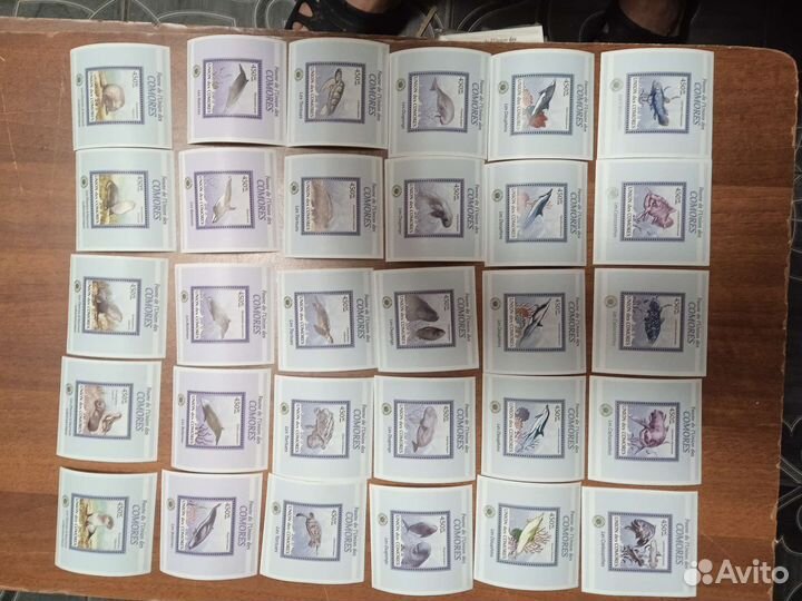 Чистые блоки фауна