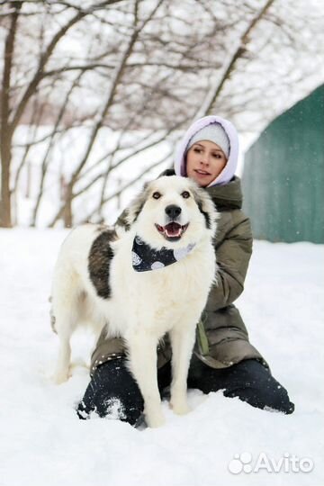 Хозяин отзовись, я тебя очень жду