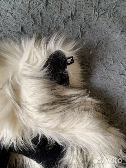 Волкошапка оригинал