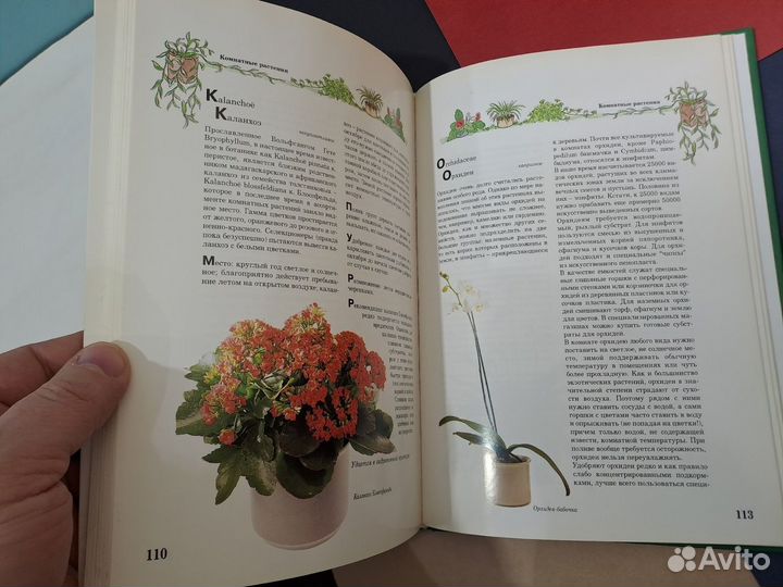 Комнатные Растения 365 Советов Гельмут Янтра Внешс