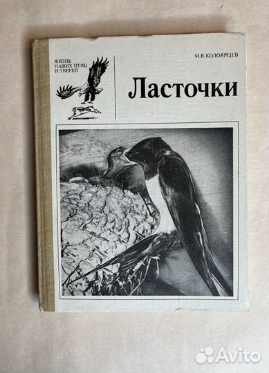 Книги о птицах