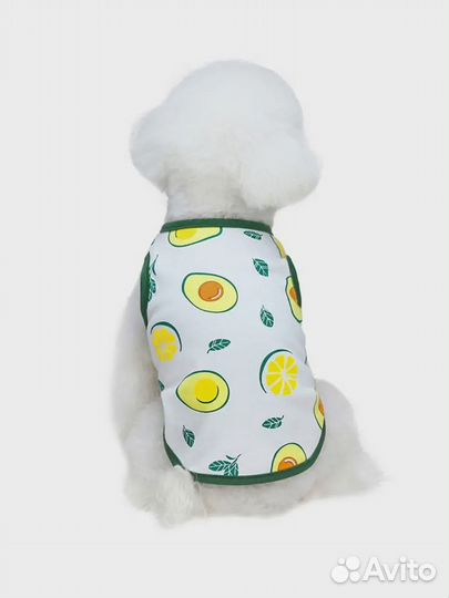 Одежда для собак мелких пород