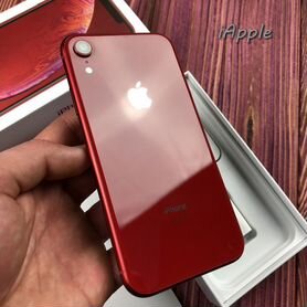 iPhone Xr, 128 ГБ