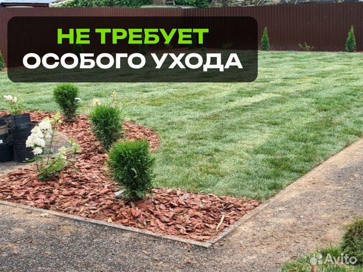 Рулонный газон Спорт. От производителя