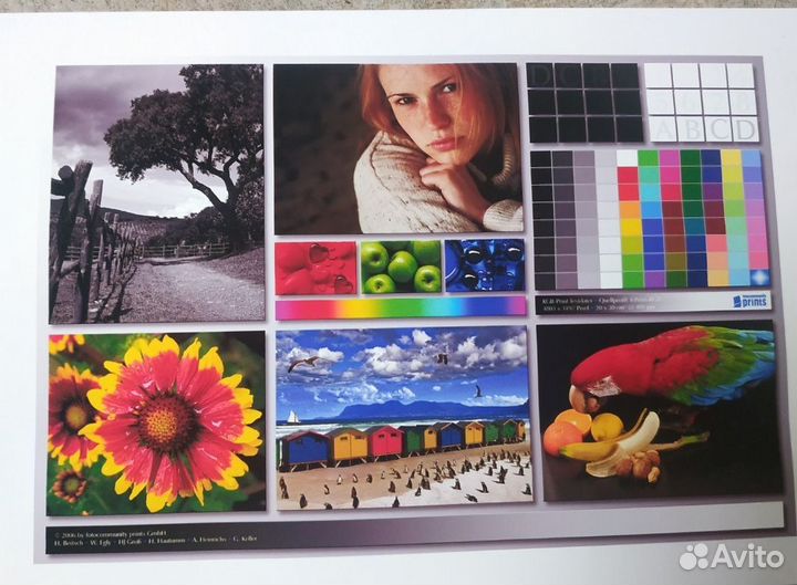 Принтер Epson L805 +Wi-Fi