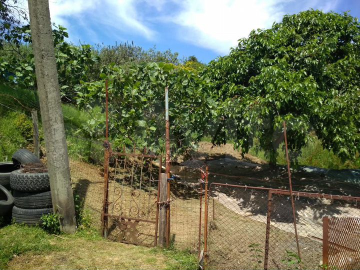 Участок 11,2 сот. (ИЖС)