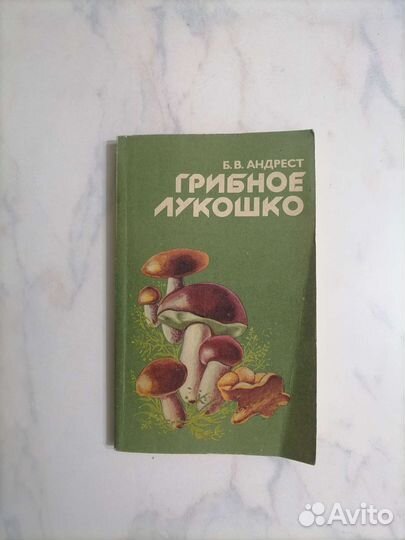 Книга 