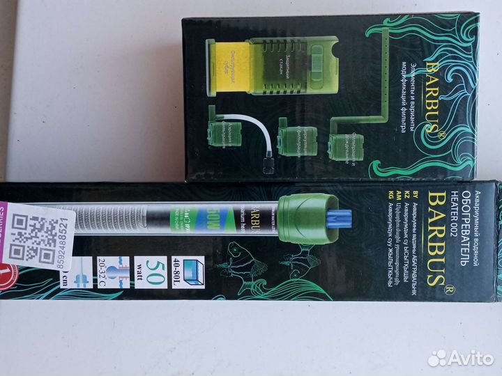 Рыбка петушок самка и самец