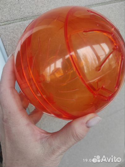 Шар для джунгарика