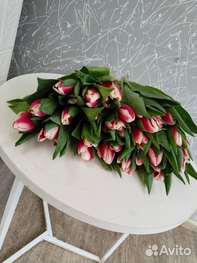 Крупные тюльпаны